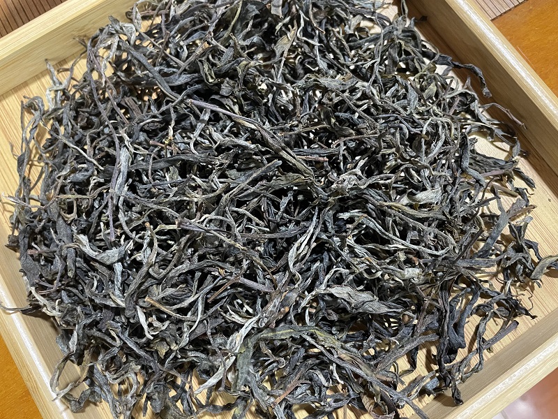 2025年大雪山头春野放老树（散茶）