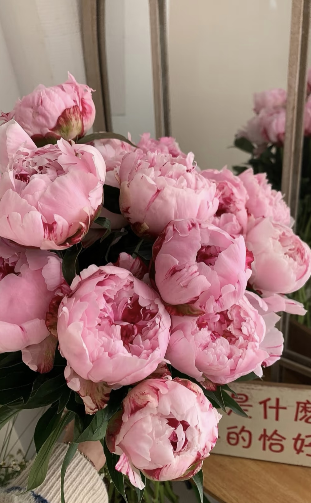 双拼粉白系列【雪印杨妃头茬现货】 芍药牡丹基地鲜切鲜发