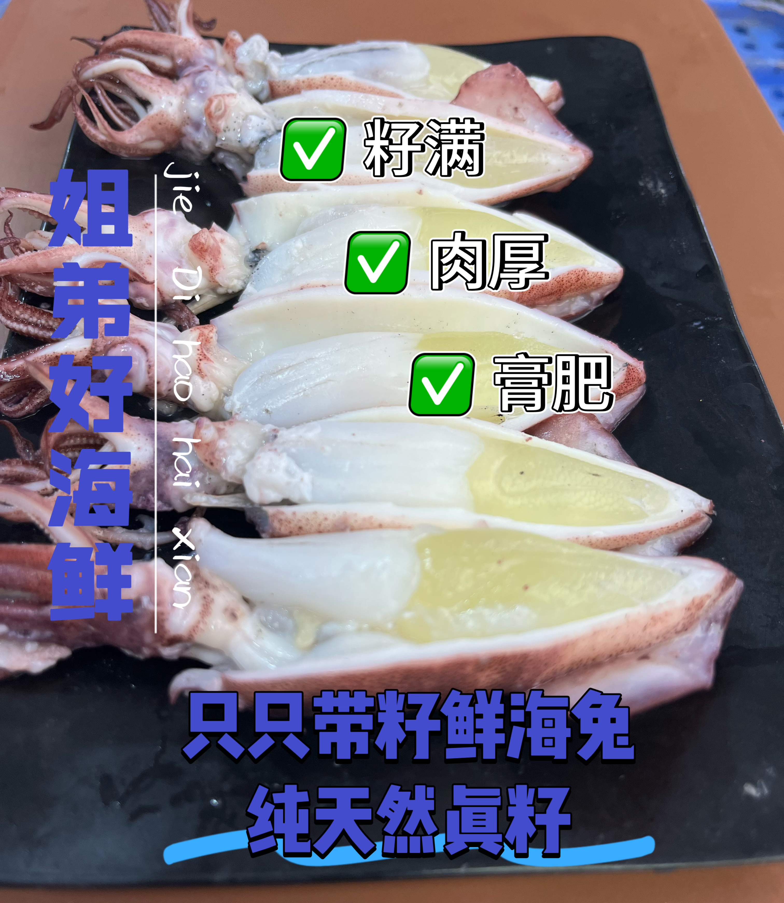 Y【只只满籽】大号满籽鲜海兔约12只/斤净4斤共约50只（支持试吃）