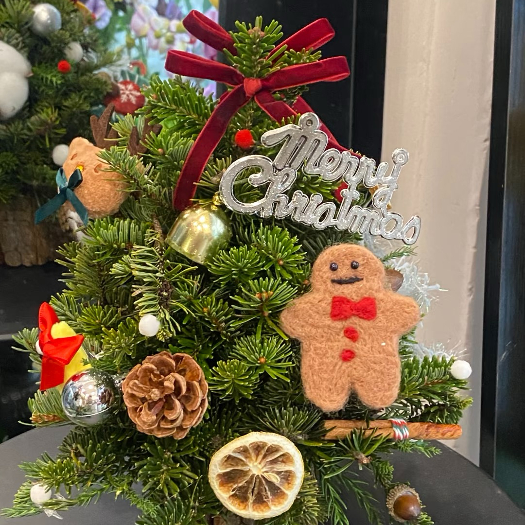 【波尔多圣诞树】进口波尔多圣诞树鲜插干花束diy手工节日氛围感