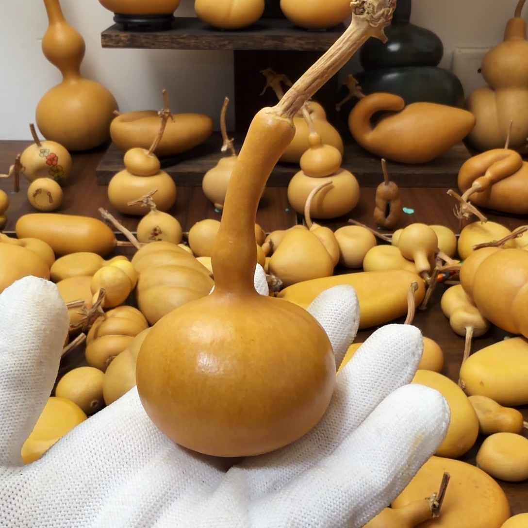 纯天然的真葫芦 15