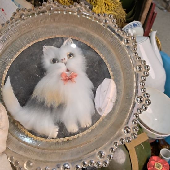 虎***林衣服啊啊啊啊啊啊啊啊