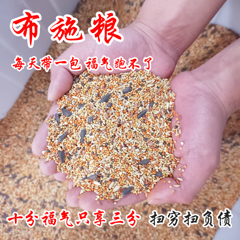 布施粮小型鸟粮野外鸟食麻雀斑鸠喜鹊户外投喂专用天然粮带壳小米