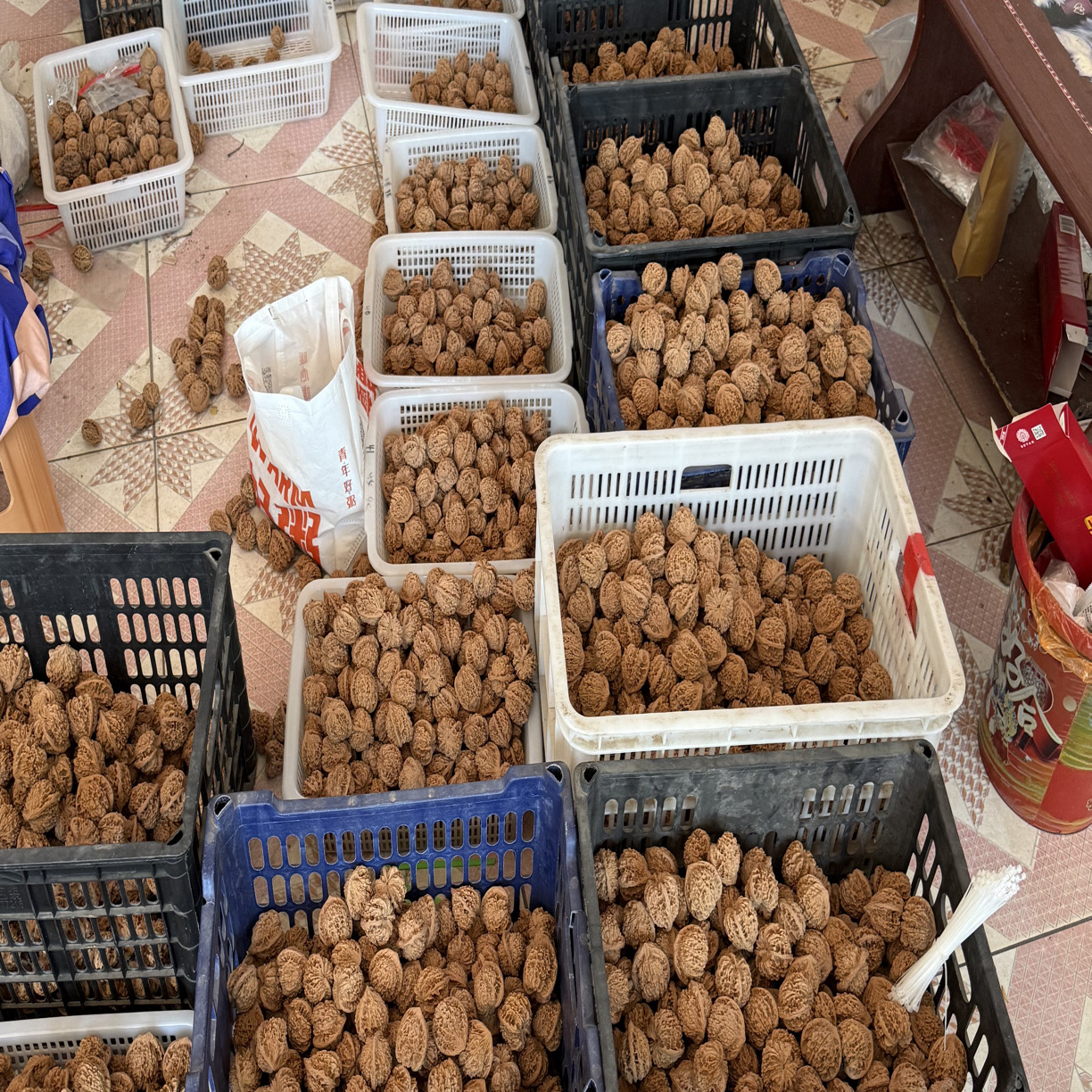 全品无修 山地大红袍 皮质拉满 文玩核桃