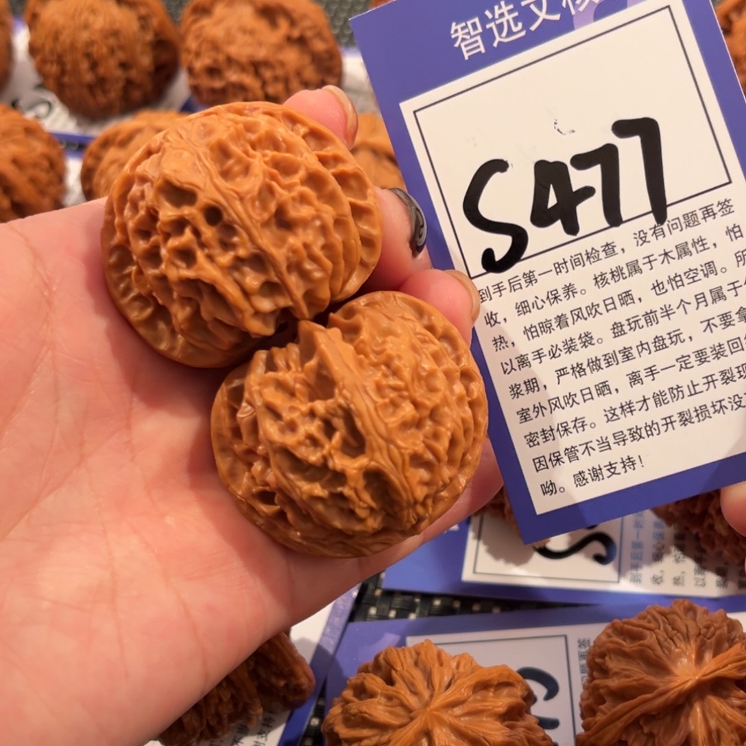 核桃S477号苹果园42尺