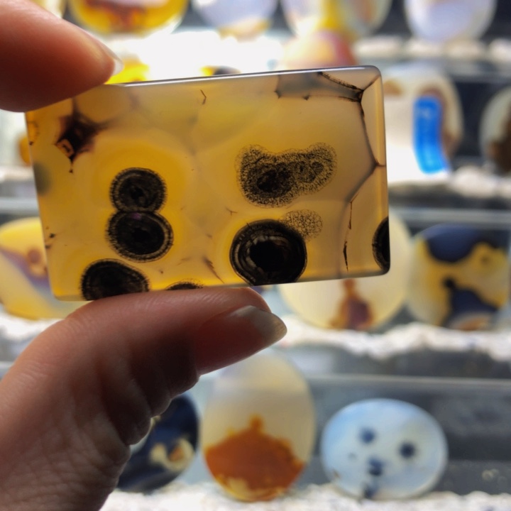 合金玛瑙/玉髓珠宝奇石江**鸟189