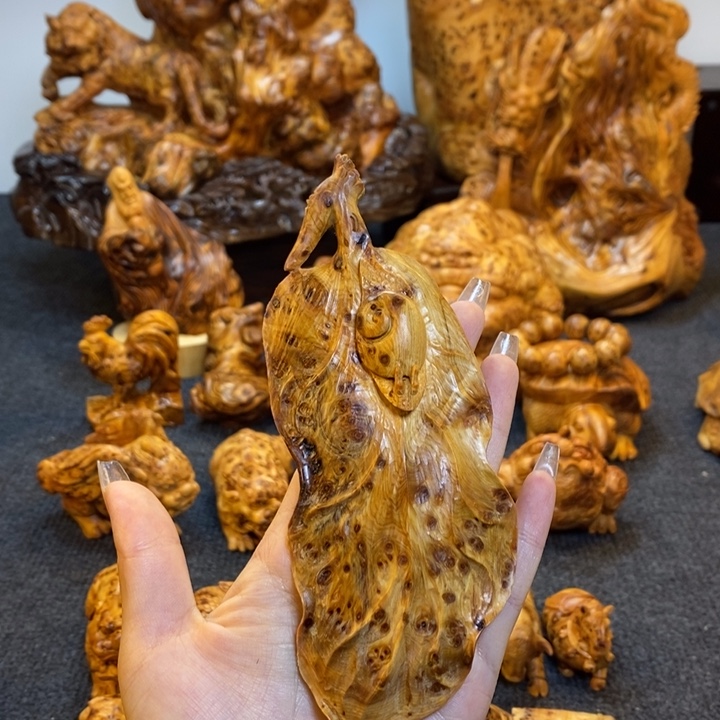 柏木一叶知秋安居乐业