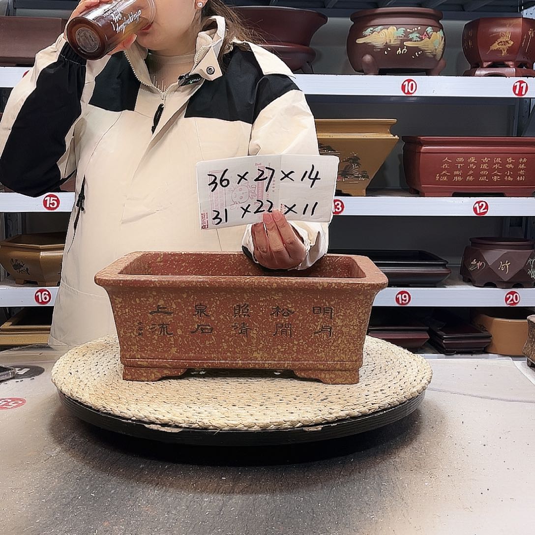 紫砂花盆紫砂花盆里放