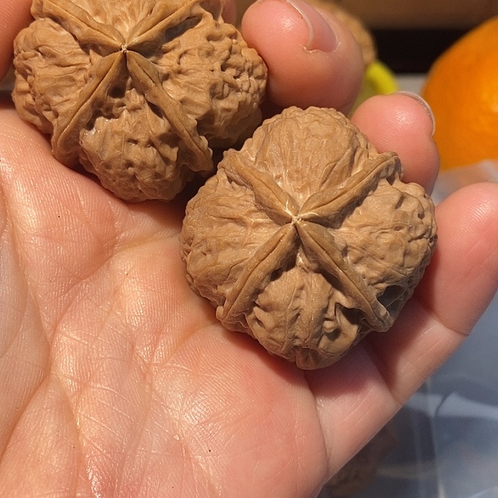 文玩核桃把件7777777777¥¥