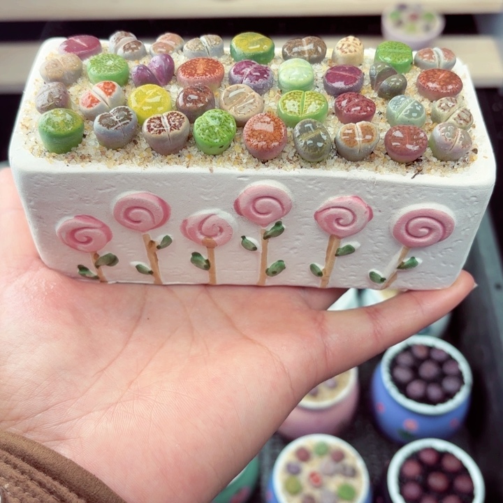 563凑满18包邮零下地区记得拍保温箱