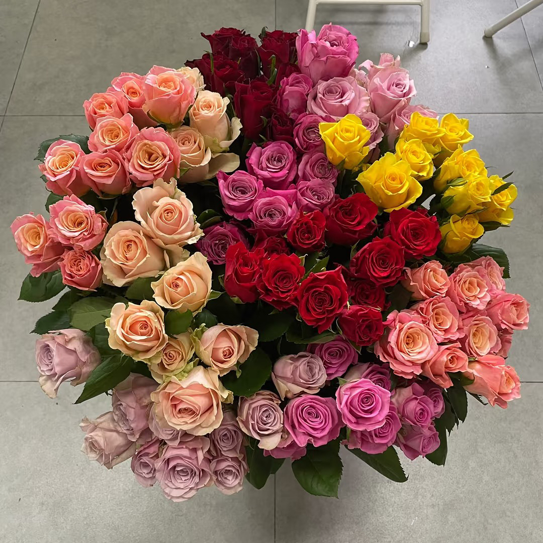 【玫瑰30支】 云南基地直发 5度以下拍保温棉 好养耐养