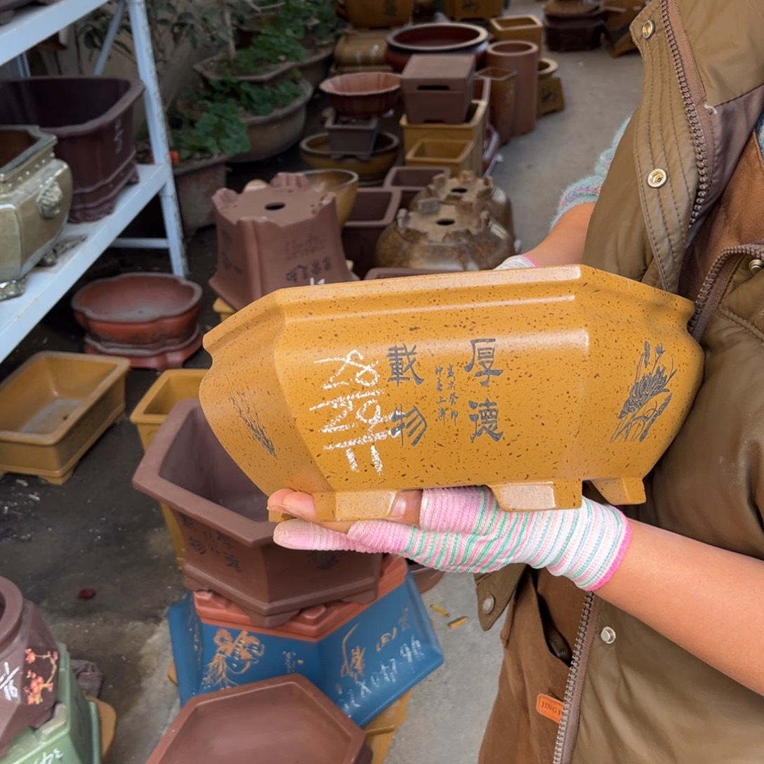 花盆紫砂盆景艺术