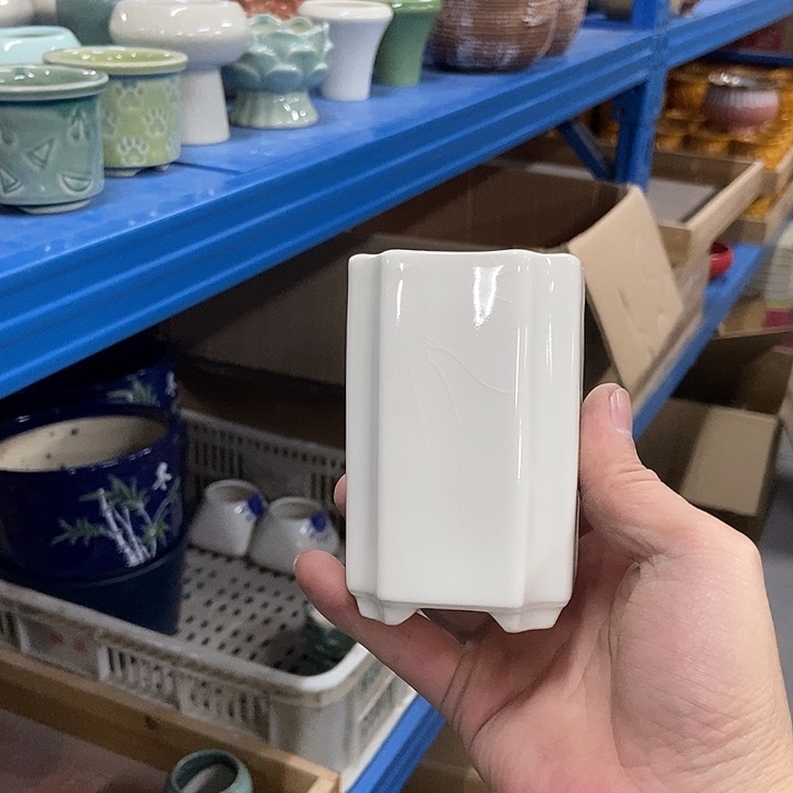 花盆单场满9.9发货6×10