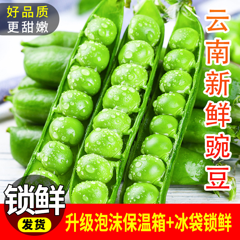 云南新鲜豌豆荚现摘带壳青豆角蔬菜甜豆荚