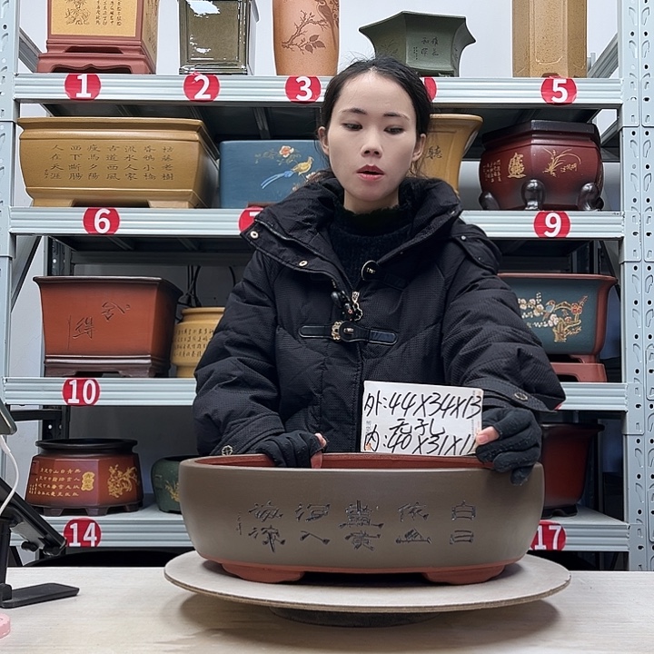 紫砂花盆紫砂花盆