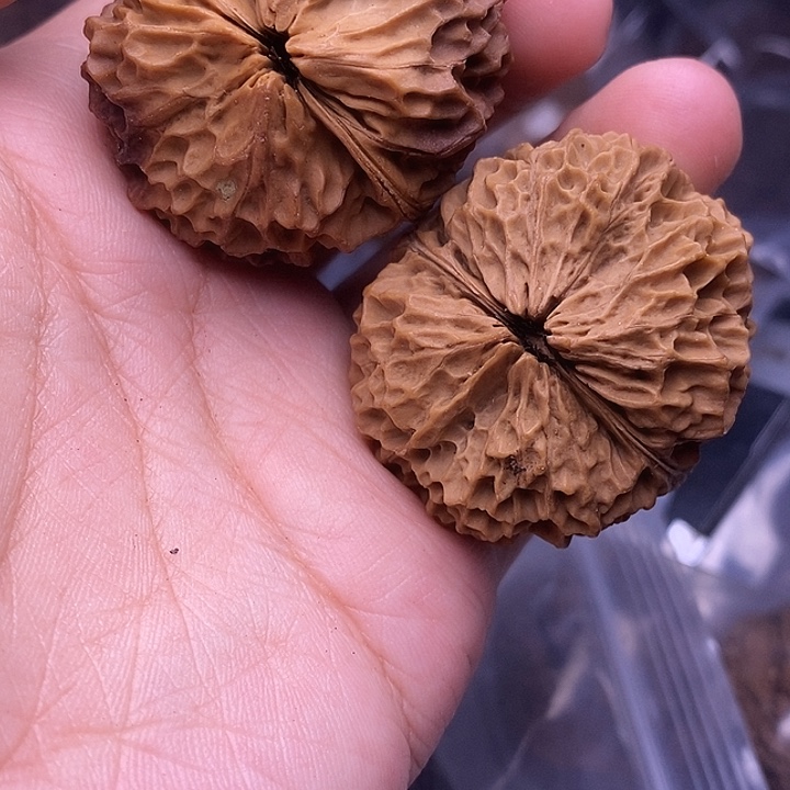 文玩核桃把件   101