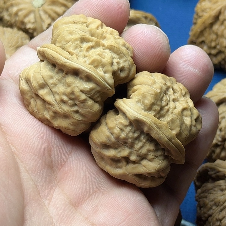 38绝配蛤蟆头尖微修
