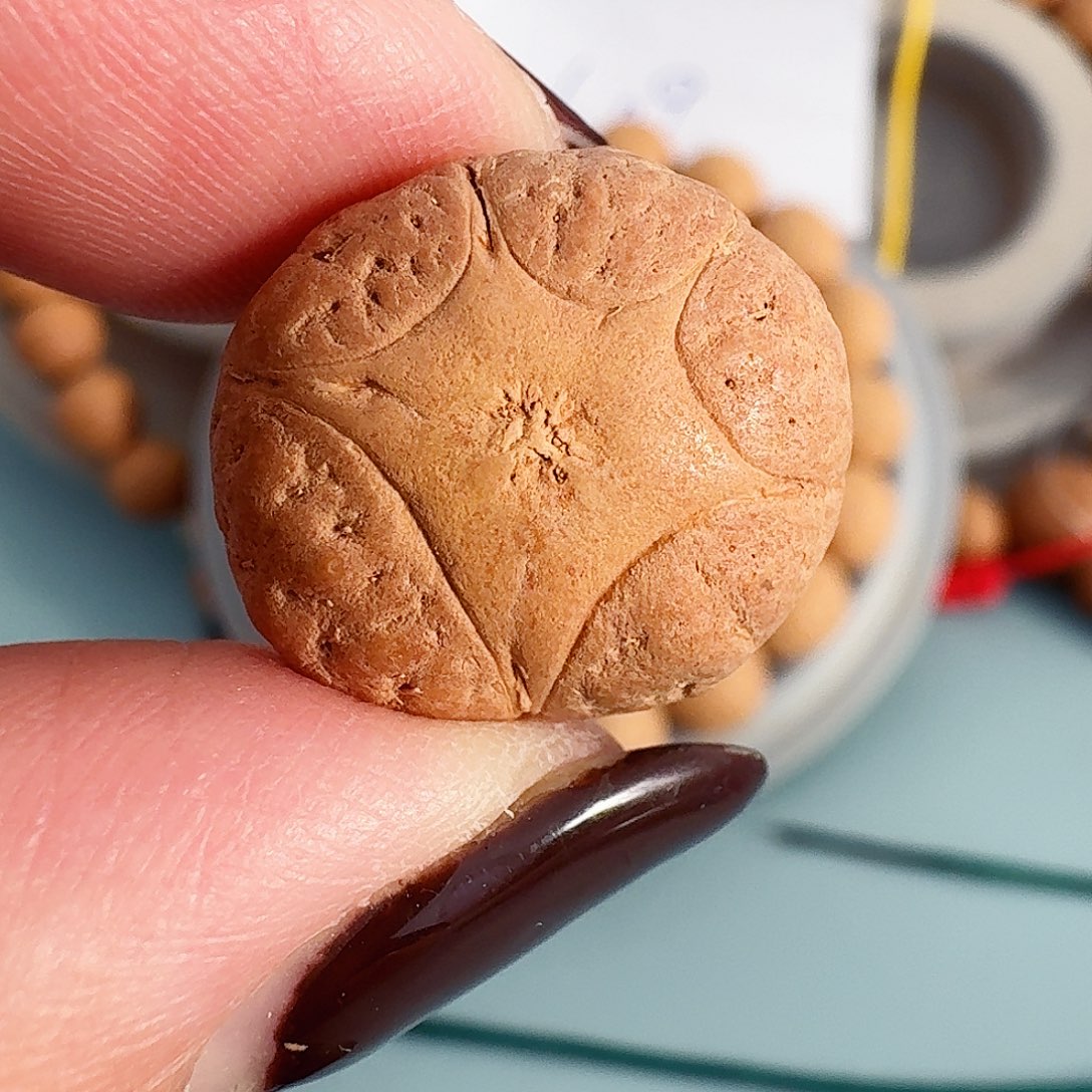 龙眼菩提手串19mm单颗五星，91@1611