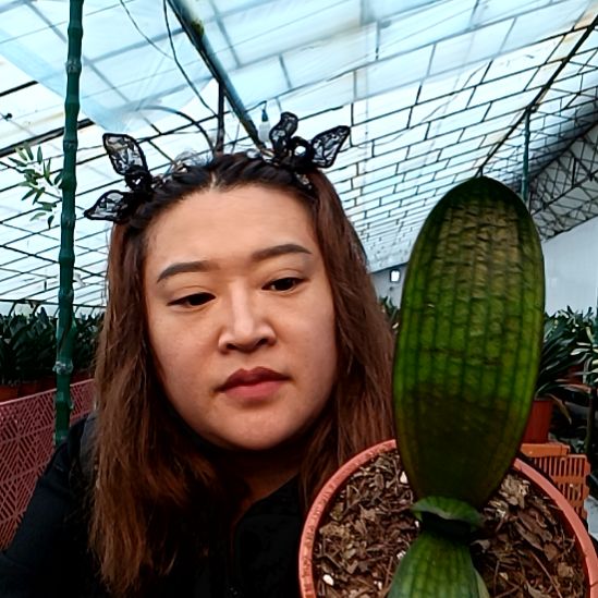 暖***5@暖阳 135血兰一颗118