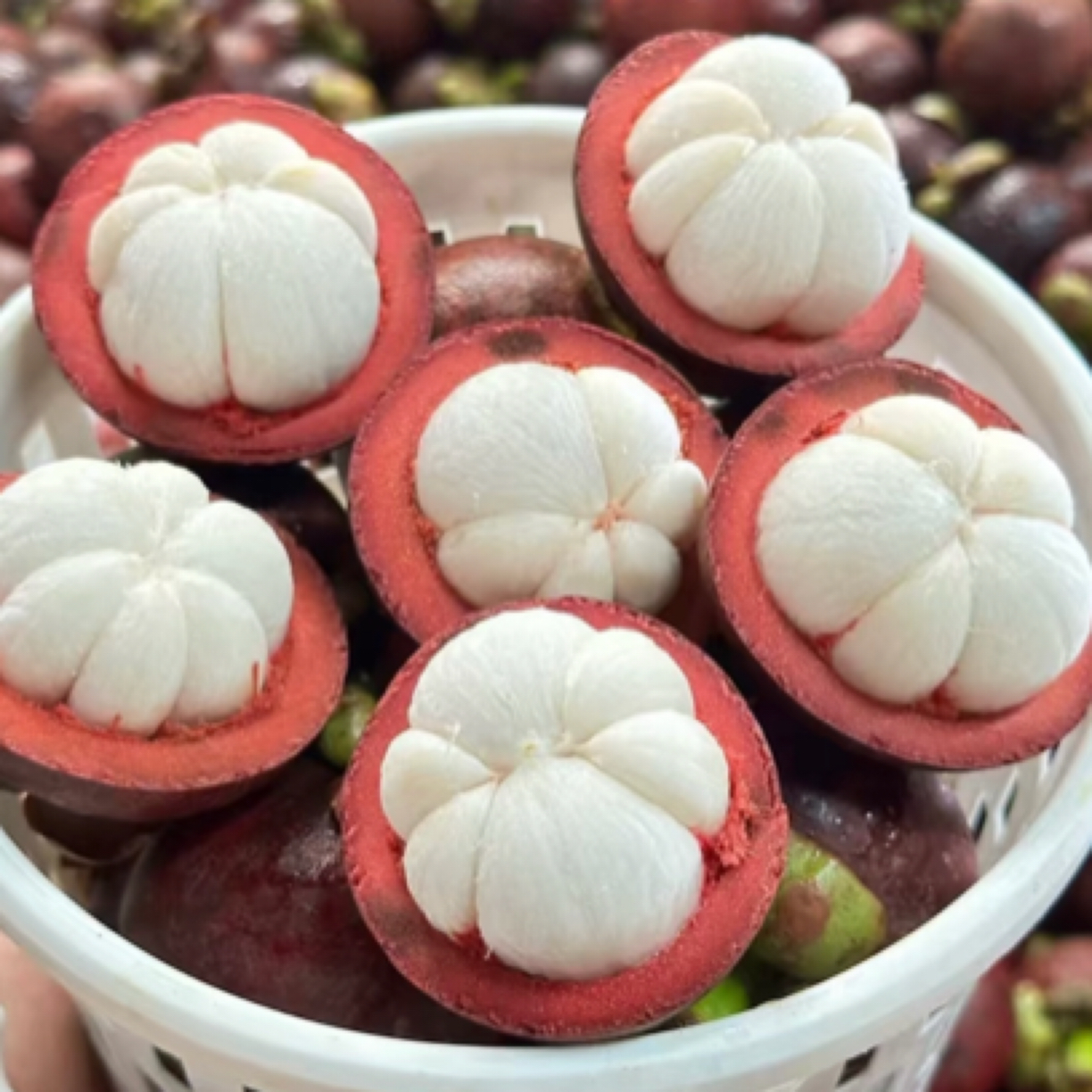 泰国5A新鲜山竹3斤装可食率9成以上