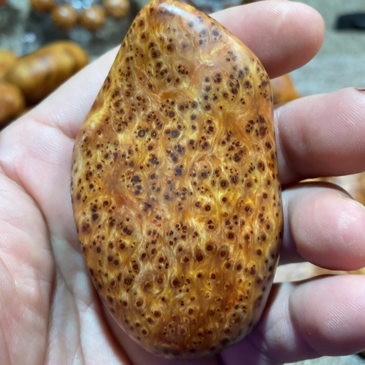 柏木（崖柏）其他把