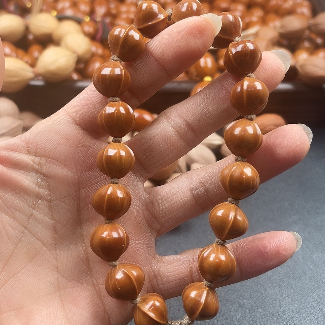 吊坠龙脊菩提橄榄树等植物