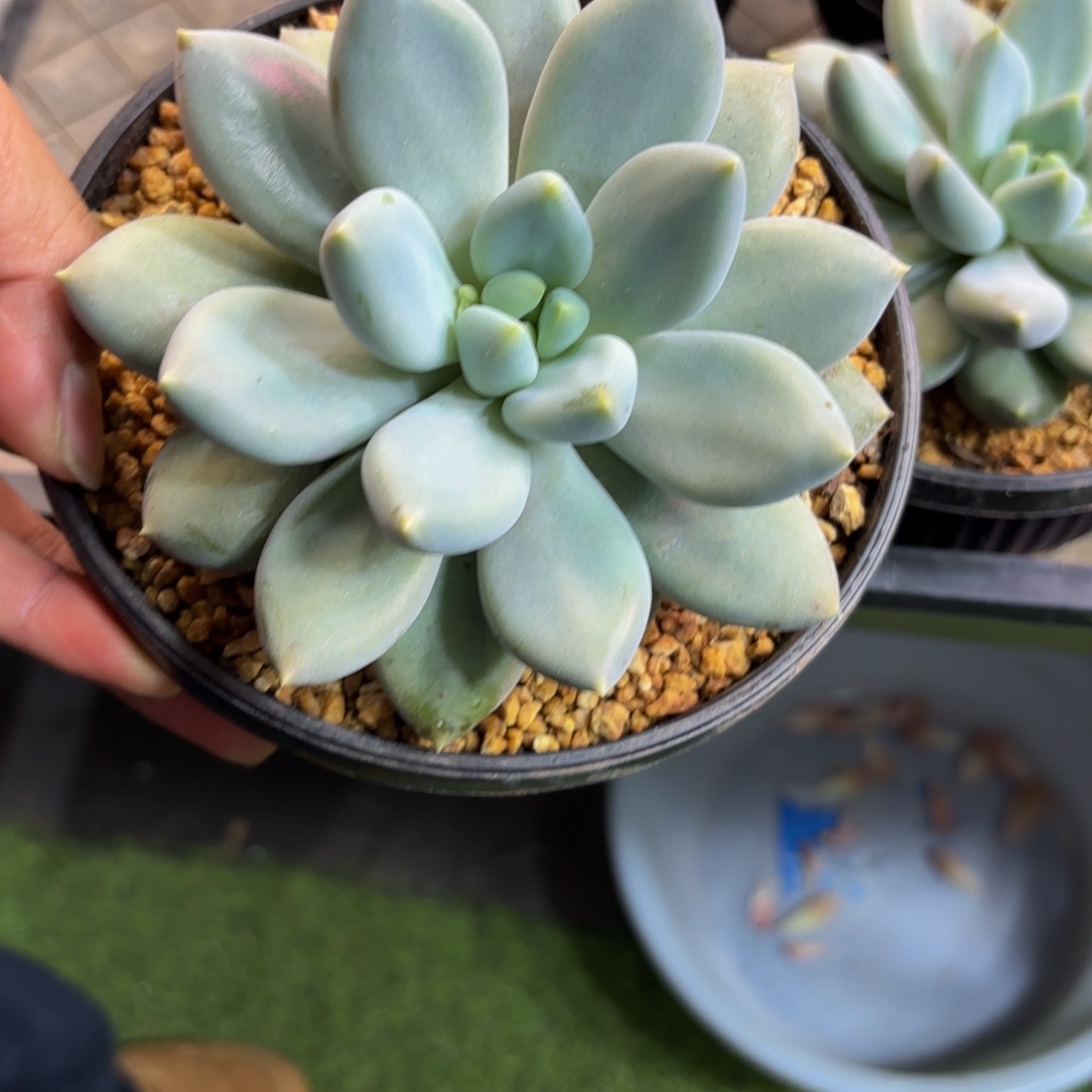 *****Hhbnnbbbbvbbbbbhhhb