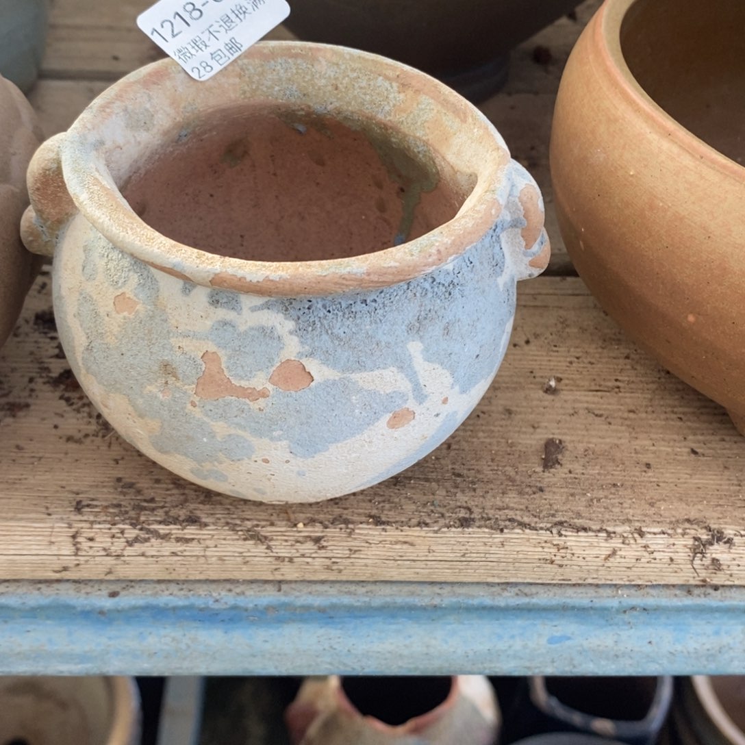 69号多肉盆口径7小可爱