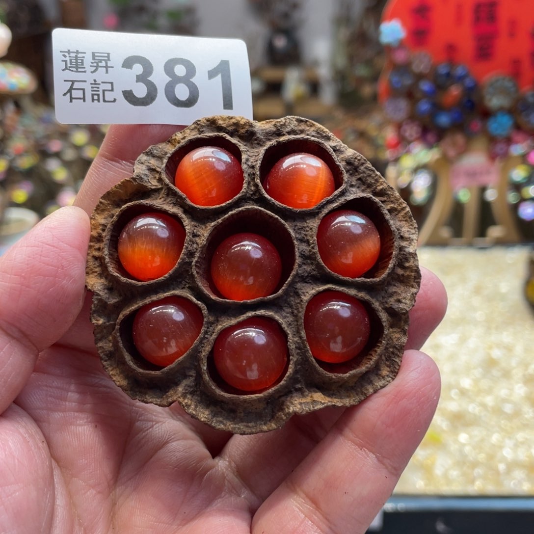 核桃木/黑胡桃（胡桃木）381