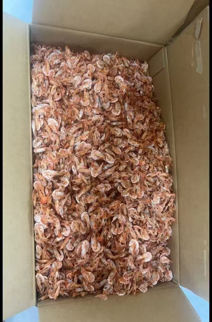 汕尾特产海运咸水的小白虾干口感新甜即食