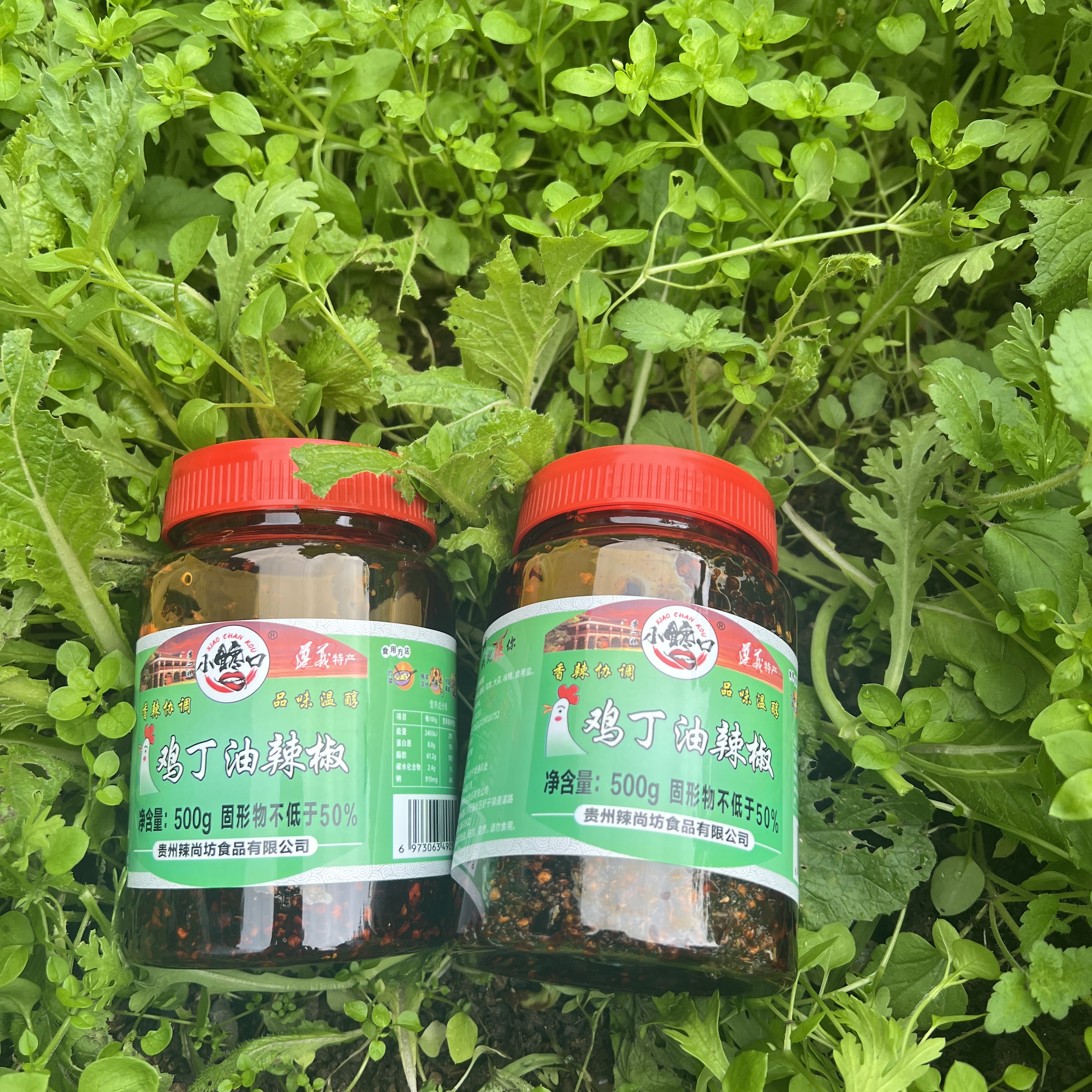 贵州特产折耳根油辣椒下饭菜凉拌红油酱炒菜拌饭必备