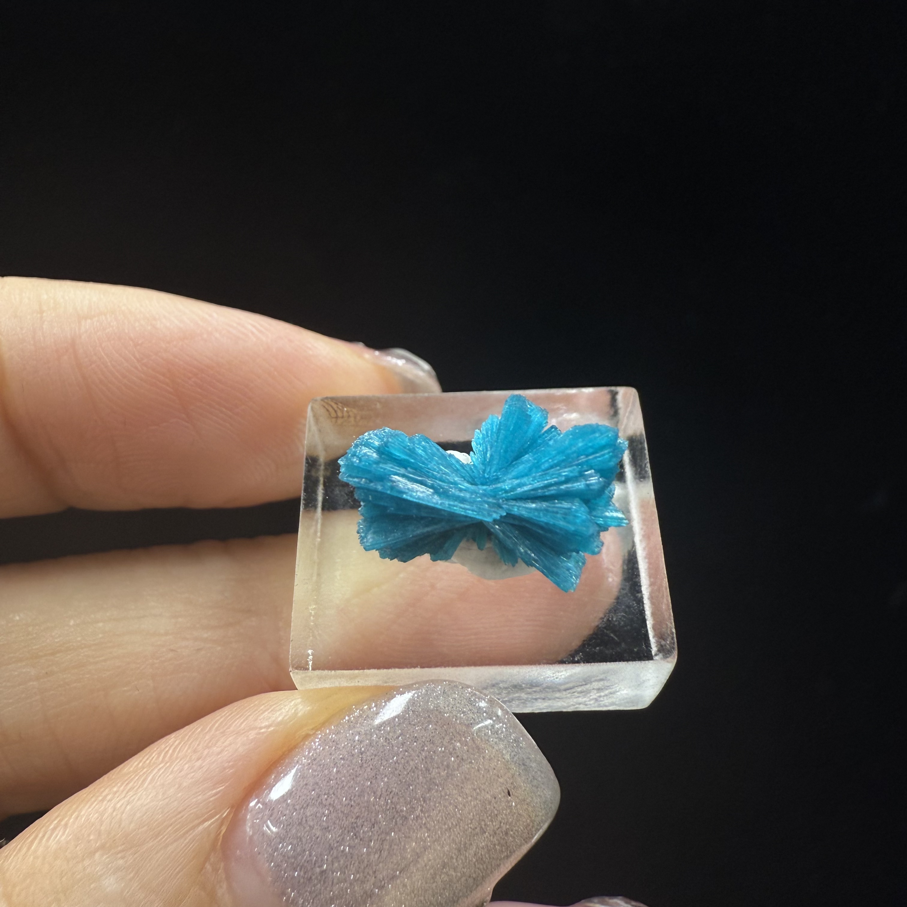 印度水硅钒钙 蝴蝶结