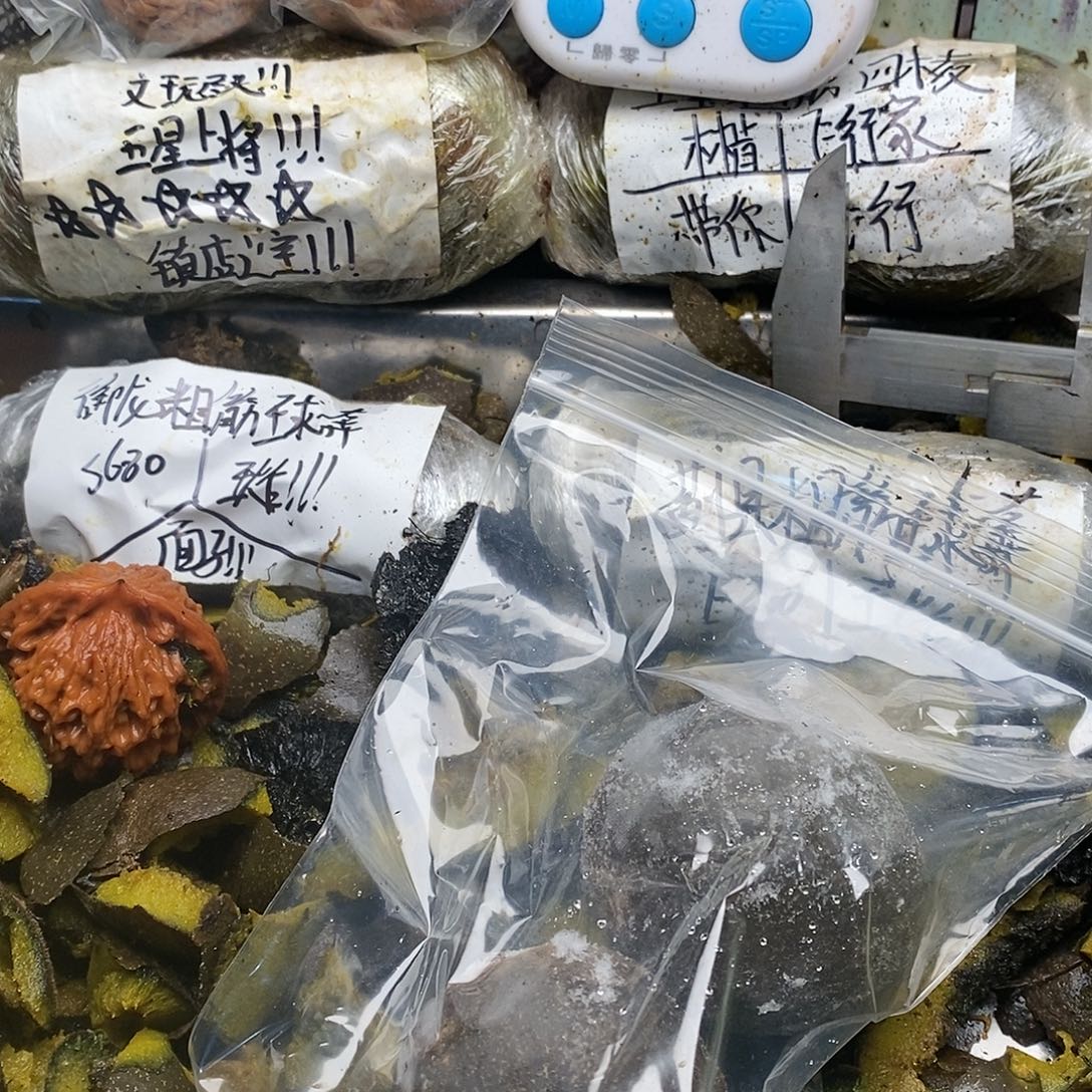 逗***人估计不能看你姐姐