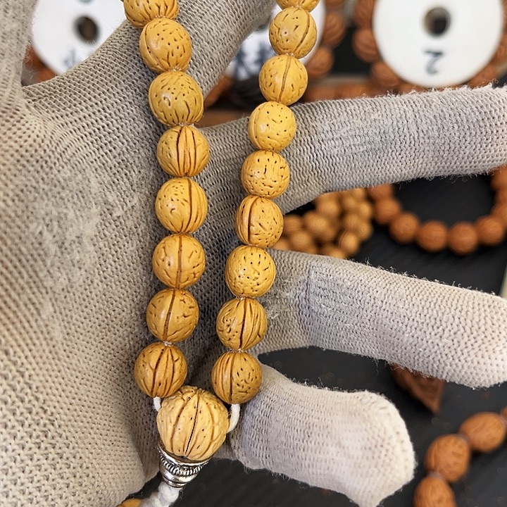 忧***质探险12868998898899