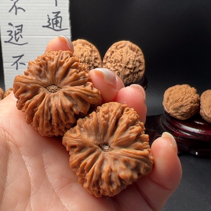 大*25高深凹底高炮精配南将