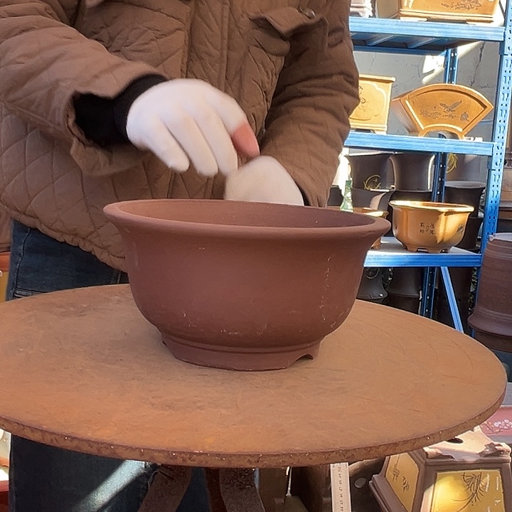 21茶林小碗花盆花盆