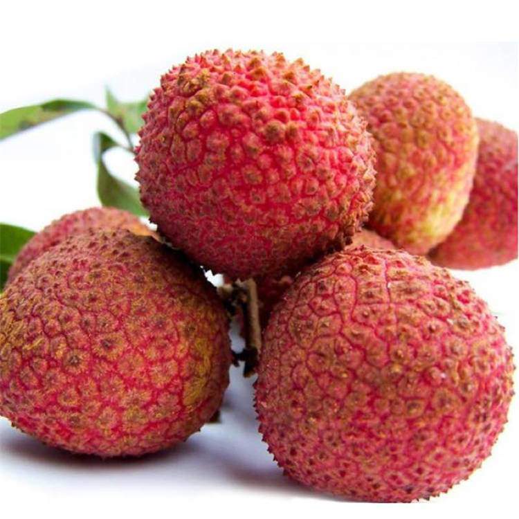 糯米糍荔枝约500g±20g