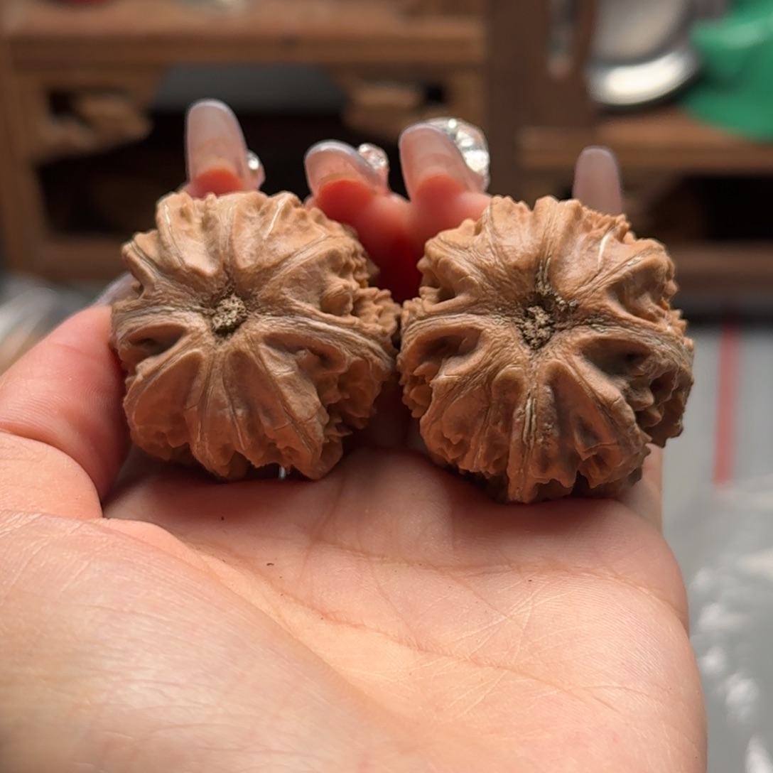 文玩核桃把件关东木子楸百核199