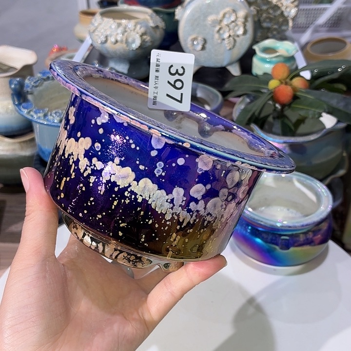 花盆花盆花盆花盆炫彩