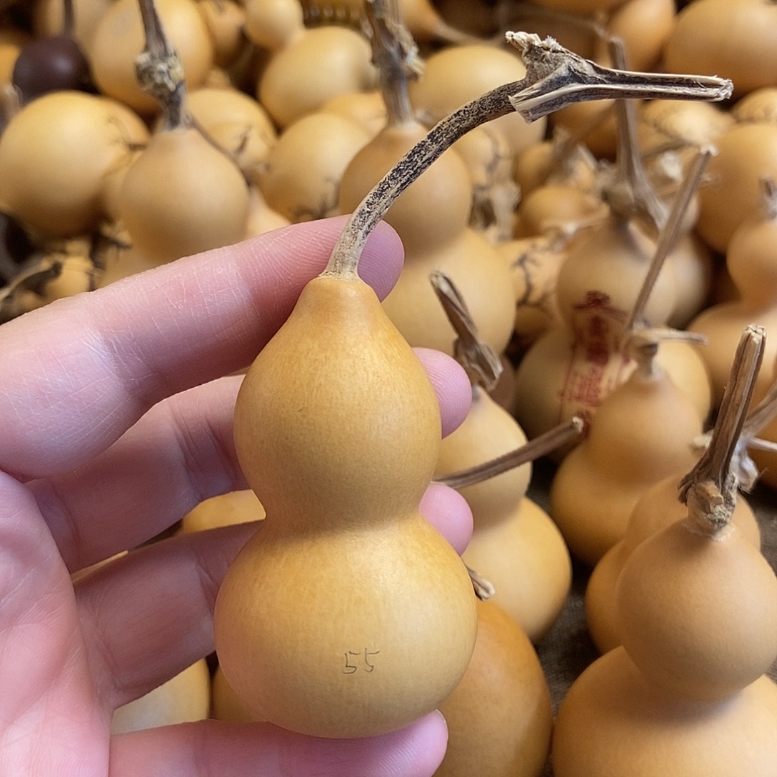 文玩葫芦 完美主义者 慎拍55