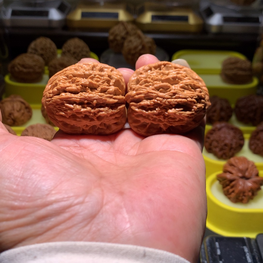 精品汉高楼一物一图