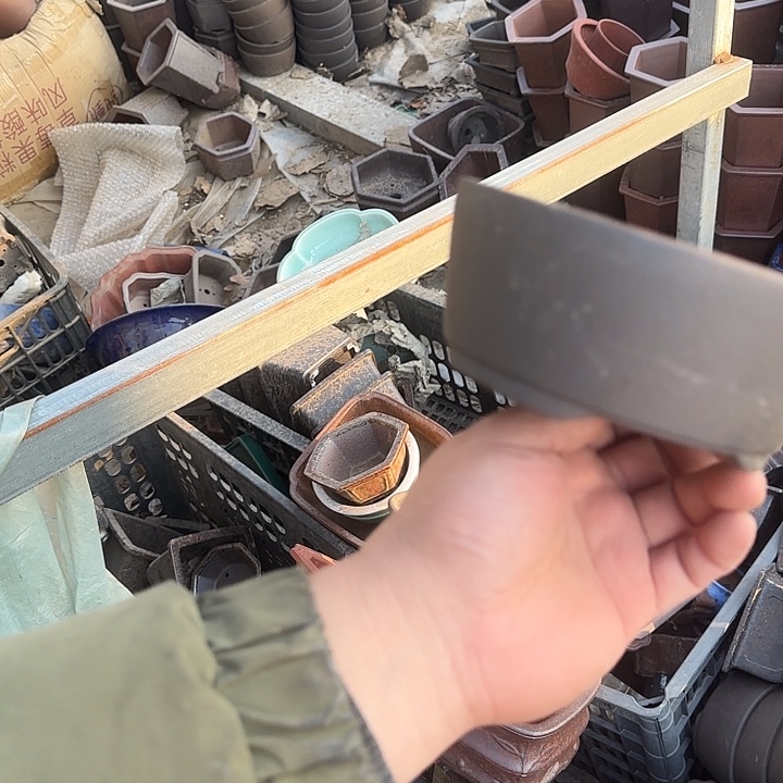 在家里等了你三分钟还未走过来你也要睡啦哦晚安哦