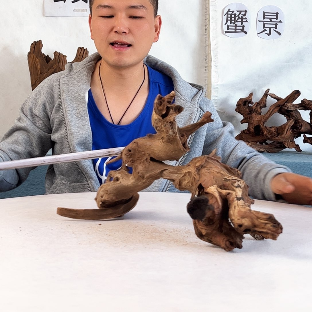 40.23.24 沉木造景爬宠造景