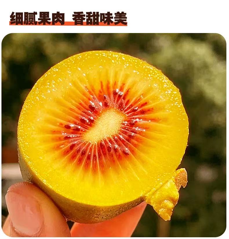 湖南湘西凤凰红心特产猕猴桃