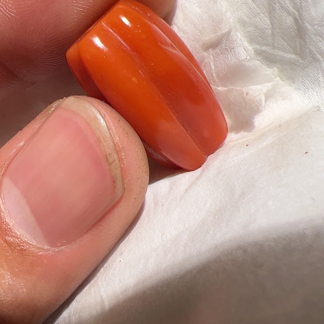 香榧木你的时候你是