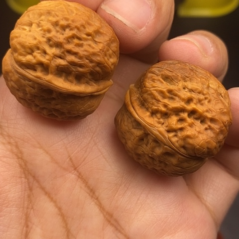 文玩核桃把件31尺云南核桃