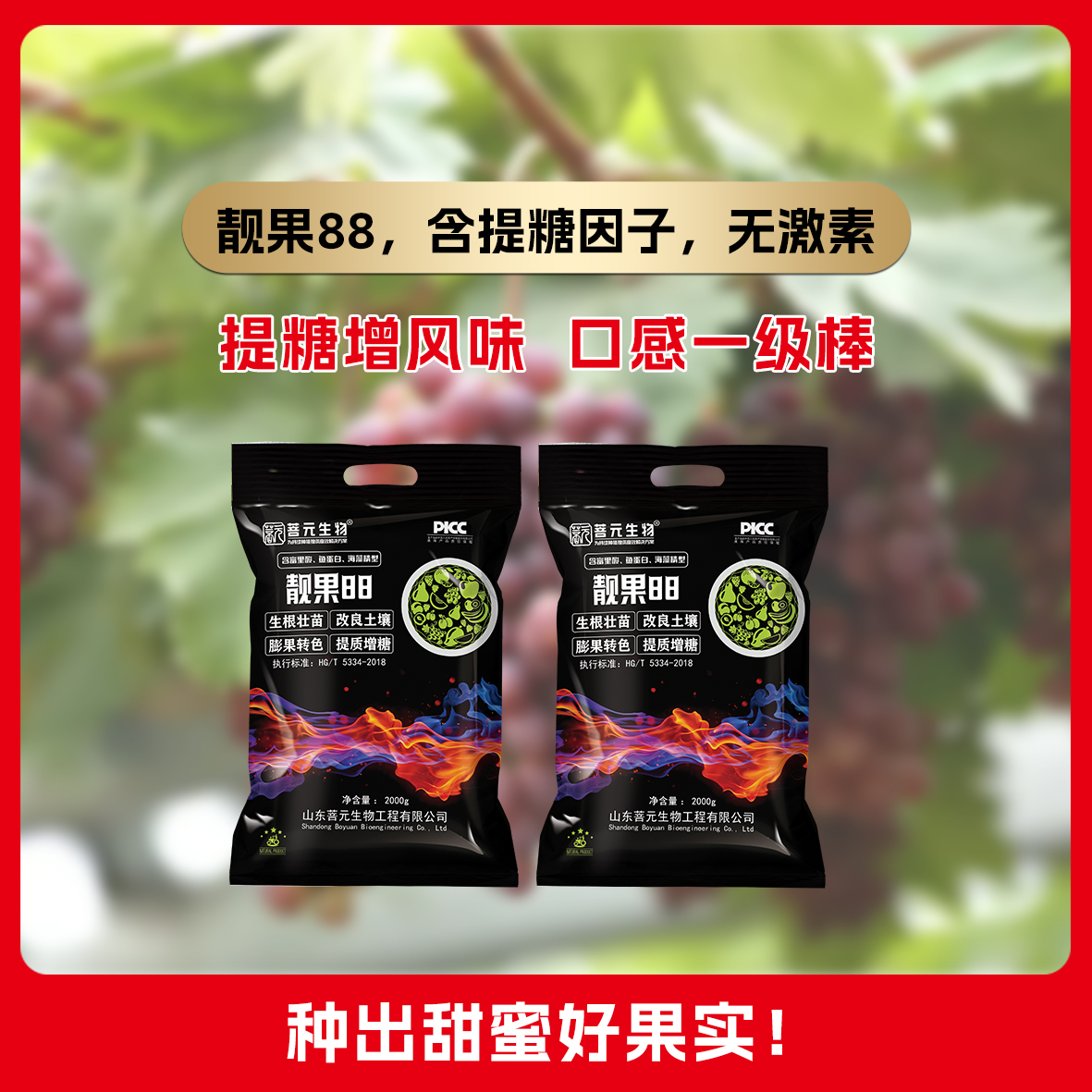 菩元靓果88 生根壮苗 改良土壤 膨果转色 提质增塘