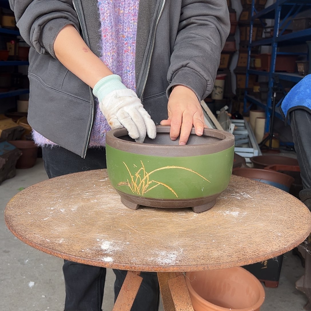 20绿描金球盆花盆花盆