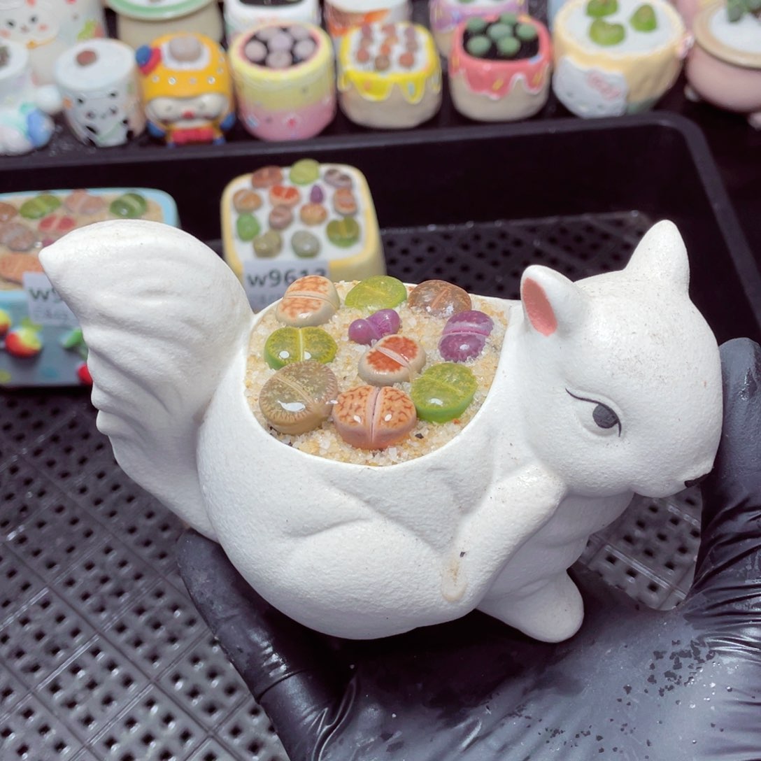 w9613--零下地区拍保温箱，-15度支持寄养