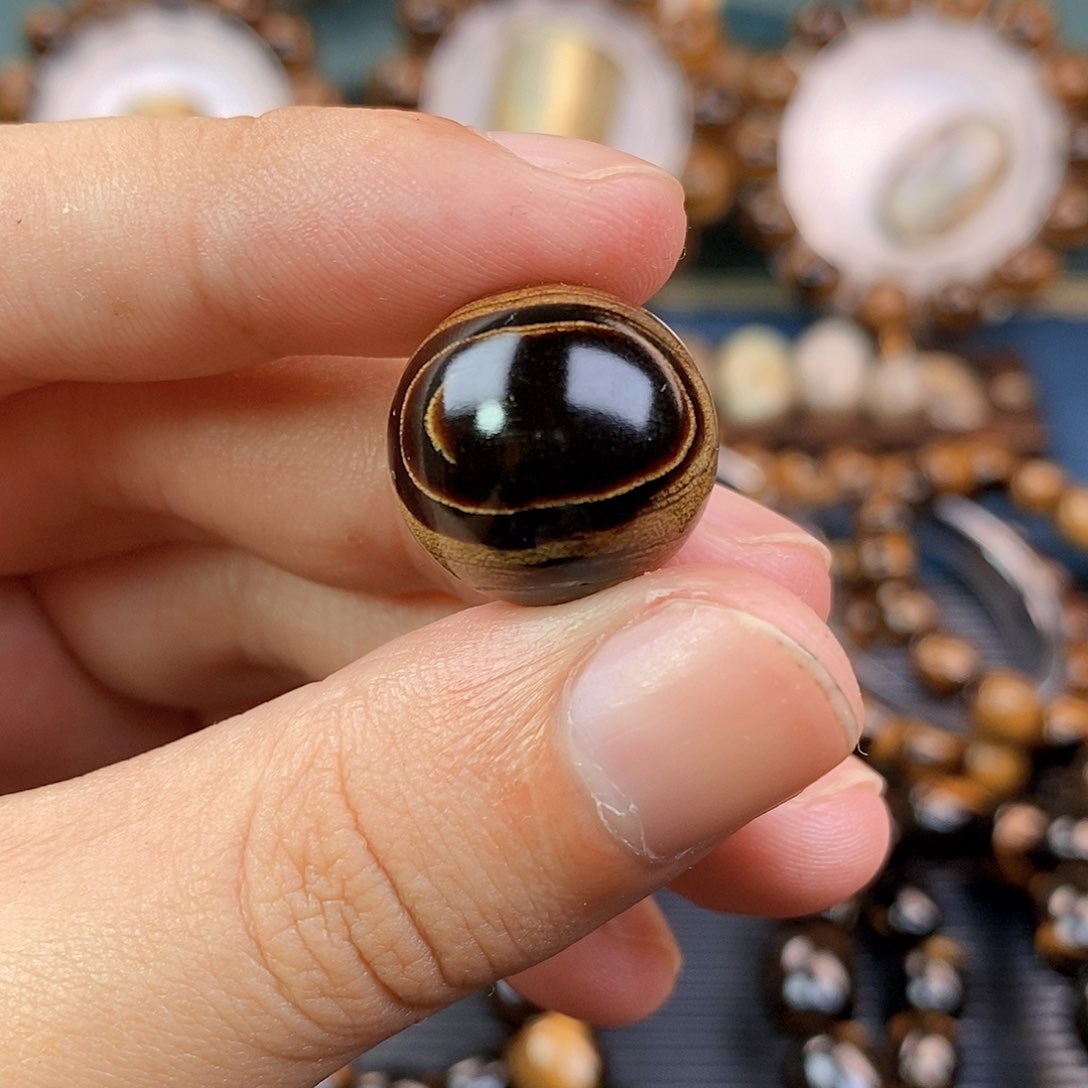 安南黄檀（紫檀柳）1.8